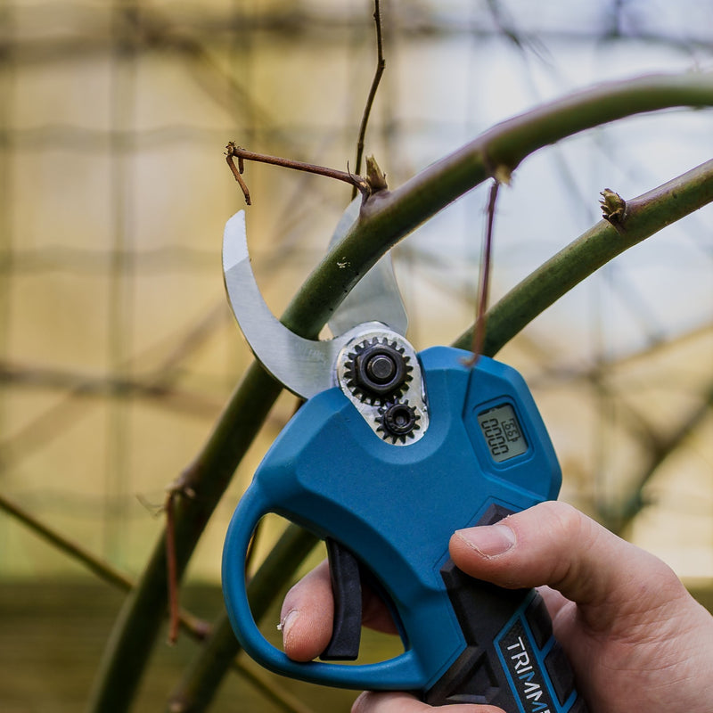 Afbeelding laden in Galerijviewer, Losse Snoeimessen (set)