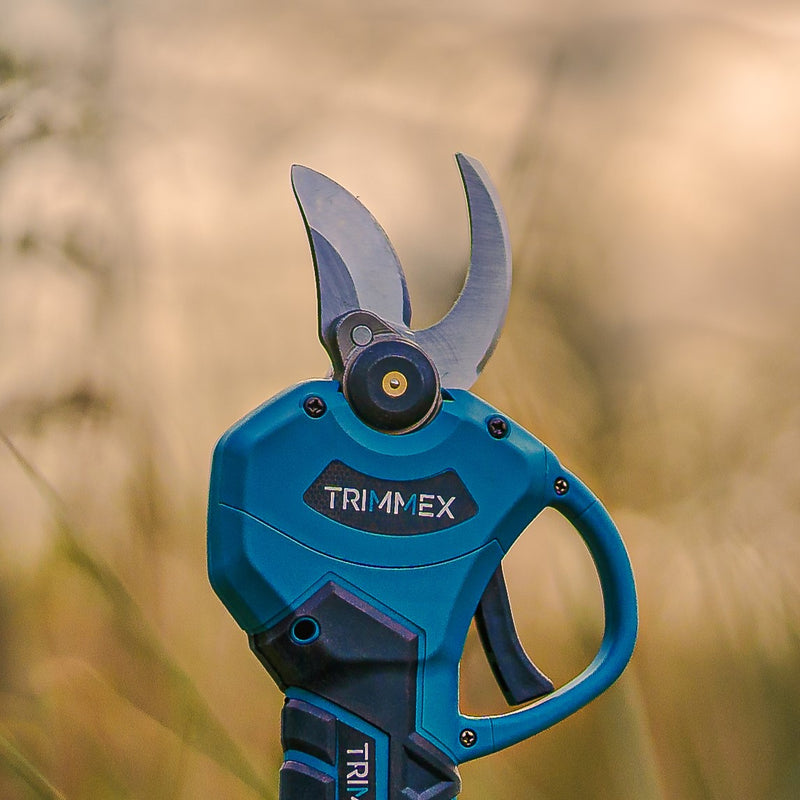 Afbeelding laden in Galerijviewer, Losse Snoeimessen (set)